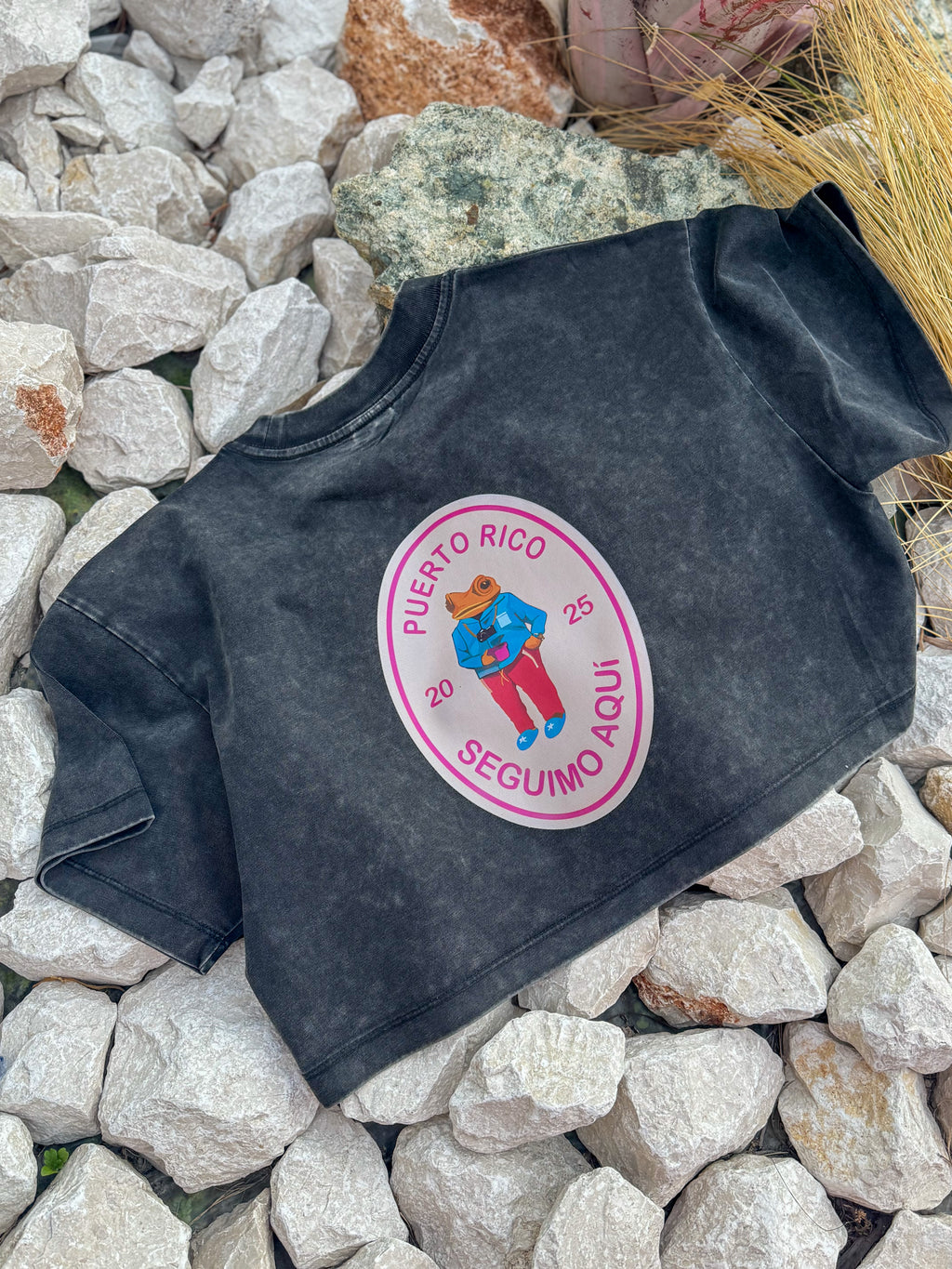 Seguimo Aquí Crop Top